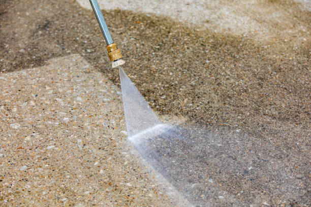 Animal Enclosure Cleaning in Newtown, OH